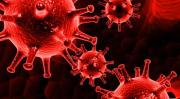 Sepsis için ortak eylem çağrısı
