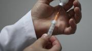 Zika aşısı maymunlarda işe yaradı