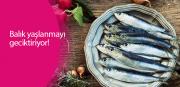 Balık yaşlanmayı geciktiriyor!