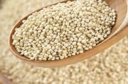 Amaranth bitkisinin faydaları