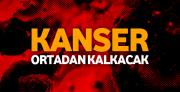 Anahtar kök hücrede!