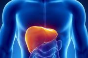 Bulaşıcı Hastalıklara Dikkat! / Hepatit
