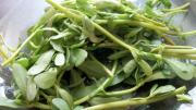 Bilgisayar Kullananlar Omega 3 Tüketsin